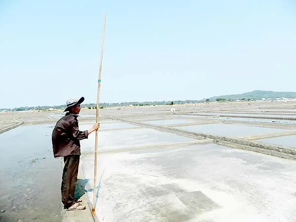 Mặn đắng đời muối