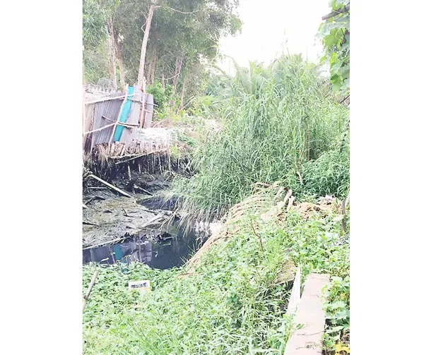 Rạch Lùng đang bị lấp dần