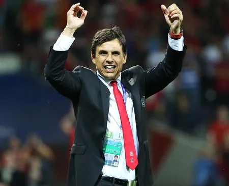 Chris Coleman - Người kiến tạo lịch sử ảnh 1