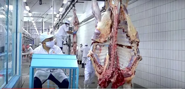 Hệ lụy từ lò mổ thủ công