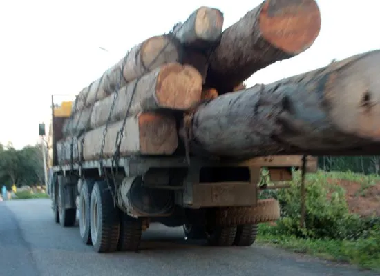 Chuyển rừng giàu thành rừng nghèo