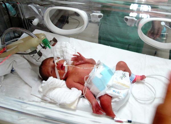 Tram's baby (Photo: SGGP)