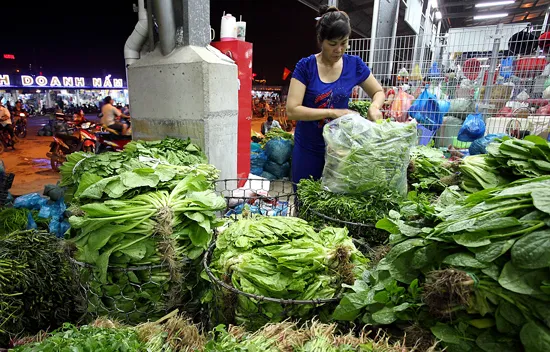 Chợ đầu mối Bình Điền lần đầu tiên cung cấp thủy hải sản cao cấp