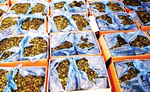 Phá vụ vận chuyển 2,5 tấn ma túy cực mạnh