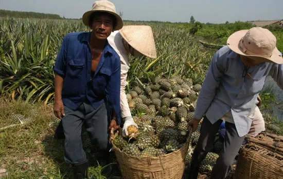 Điểm sáng trong xuất khẩu nông sản