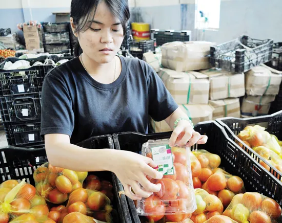 Lãng phí nhãn hiệu nông sản