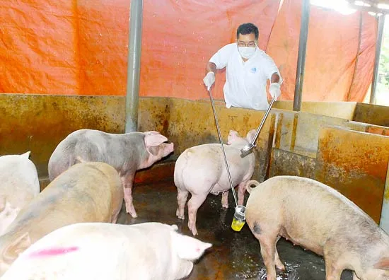 Bộ NN-PTNT và Bộ Công thương “bắt tay” kiểm soát hóa chất