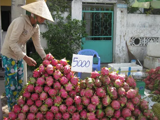 ĐBSCL: Nông thủy sản rớt giá mạnh