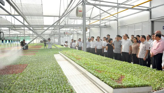 Hướng đến mục tiêu sản xuất, tiêu dùng thực phẩm sạch