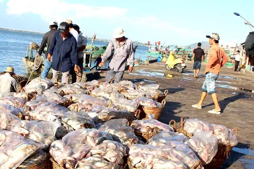 Tiếp sức làng nghề bám biển