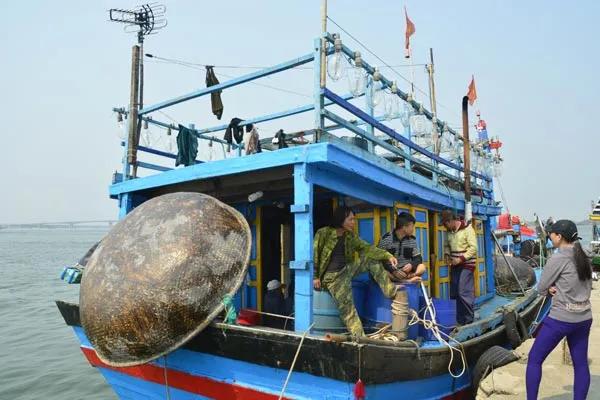 Quảng Nam: Lai dắt tàu câu mực mắc cạn vào bờ