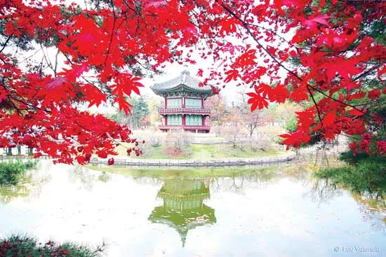 Du ngoạn xứ Hàn đón Tết Trung Thu chỉ với 12,99 triệu đồng