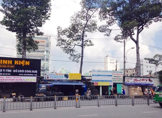 Cổ thụ giữa nhà