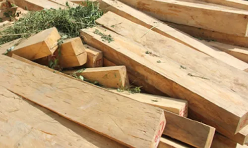 Tạm đình chỉ công tác Chi cục trưởng Chi cục Hải quan cửa khẩu Nam Giang, Quảng Nam