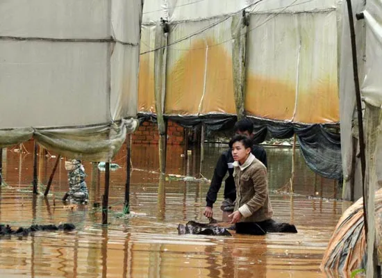 Mưa lớn gây ngập gần 1m tại Đà Lạt