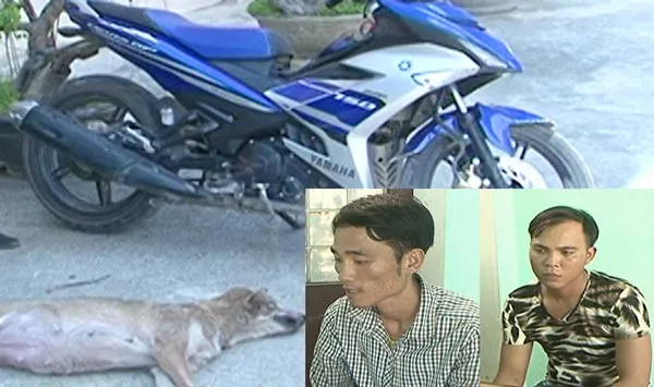 Thanh Hóa: Bắt 2 đối tượng trộm chó đâm chết chủ nhà