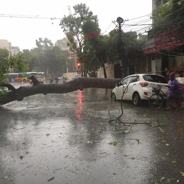 Hà Nội tan hoang vì bão số 1 ảnh 3