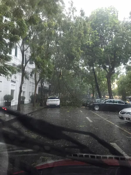 Hà Nội tan hoang vì bão số 1 ảnh 12