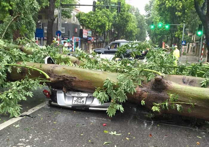 Hà Nội tan hoang vì bão số 1 ảnh 4