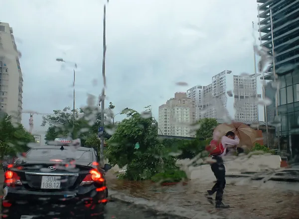 Hà Nội tan hoang vì bão số 1 ảnh 6