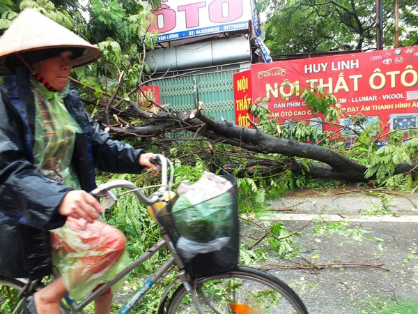 Hà Nội tan hoang vì bão số 1 ảnh 8
