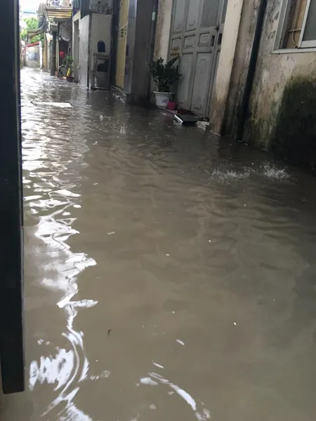 Hà Nội tan hoang vì bão số 1 ảnh 9