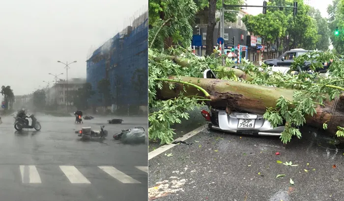 Hà Nội tan hoang vì bão số 1