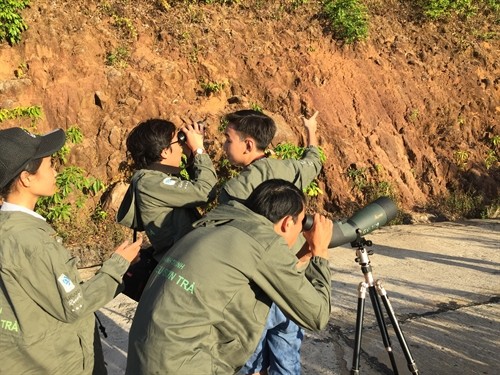 Young students went on a field trip to Đà Nẵng to collect information about the langurs.— Photos GreenViet