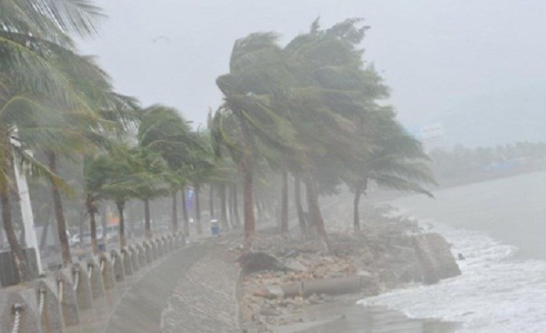 Illustrative image (Source: internet)