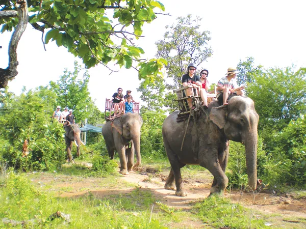 Bay lên Buôn Ma Thuột uống cà phê!