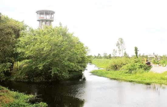 Về rừng U Minh nhớ nhà văn Sơn Nam