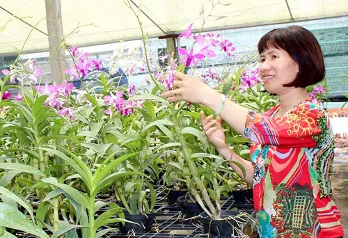 Kiện tướng vùng rau sạch