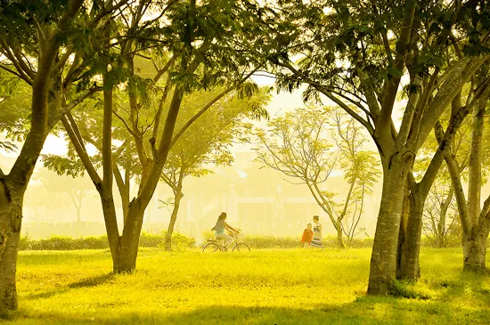 Thành phố xanh - thành phố an bình ảnh 3