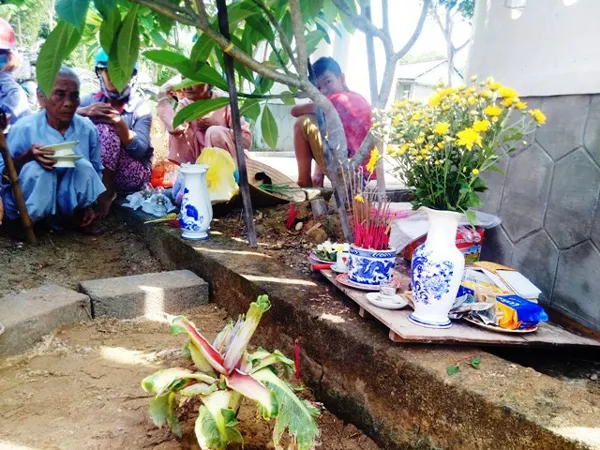 Lạ kỳ cây chuối cao 15cm trổ 6 bắp ảnh 2