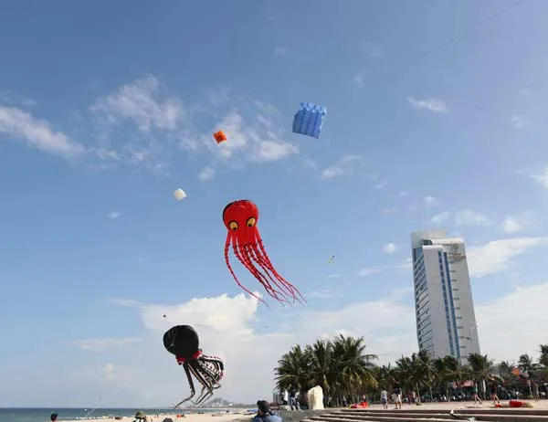 Lần đầu tiên tổ chức lễ hội Diều trên bãi biển Đà Nẵng ảnh 3