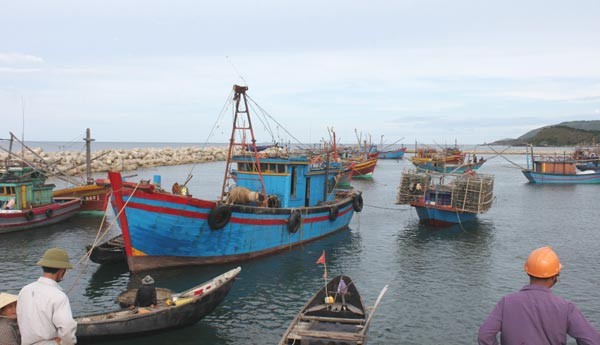 Fishing boats anchor at a harbor in Ky Anh town, Ha Tinh province (Photo: SGGP)