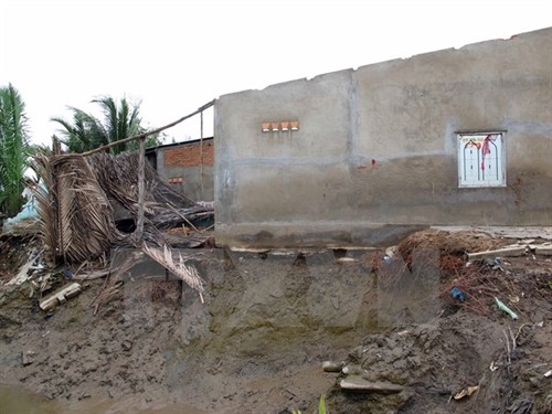 A badly eroded area in Nhà Bè District, HCM City. — VNA/VNS Photo Phương Vy