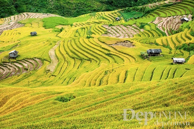 Terraced fields in Mu Cang Chai (Source:VNA)