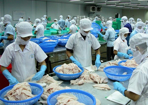 Workers are processing aquatic products for exports (Photo: SGGP)