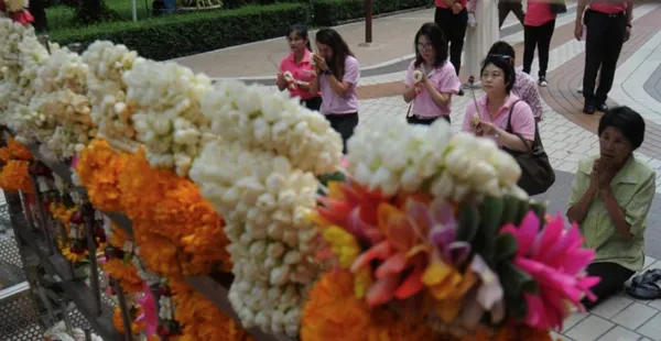 Người Thái mặc đồ hồng cầu nguyện cho nhà Vua ảnh 7