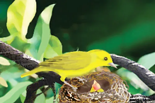 Đâu rồi tuổi thơ