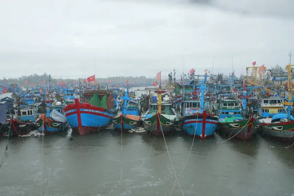 Quảng Ngãi: Hơn 5.000 tàu cá đã vào bờ tránh bão