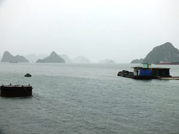 Chiều nay 19-10 bão sẽ đổ bộ: Quảng Ninh căng mình chống bão