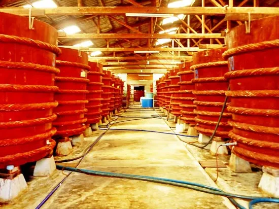 Bộ NN-PTNT bác bỏ thông tin của Vinastas về nước mắm