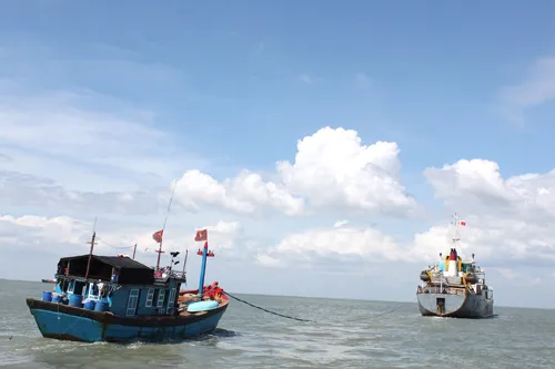 Sợi dây “nối” biển