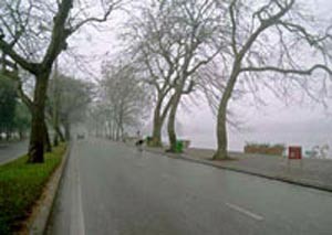 Cold air covers the northern provinces