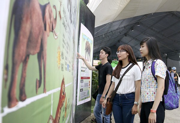 Young people at teh festival (Photo: SGGP)
