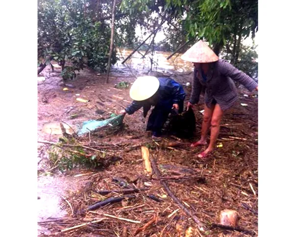 Liều mình đi vớt gỗ, củi trong mưa lũ ảnh 3