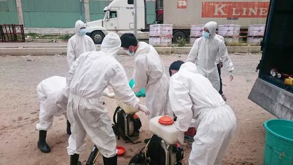 Chủ động phòng chống dịch Zika