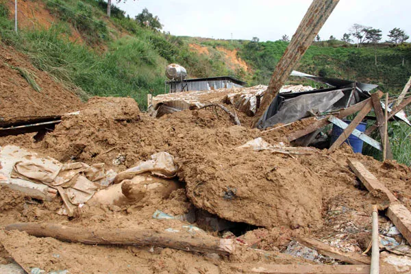 Đà Lạt: Sạt lở đất chôn vùi trại heo